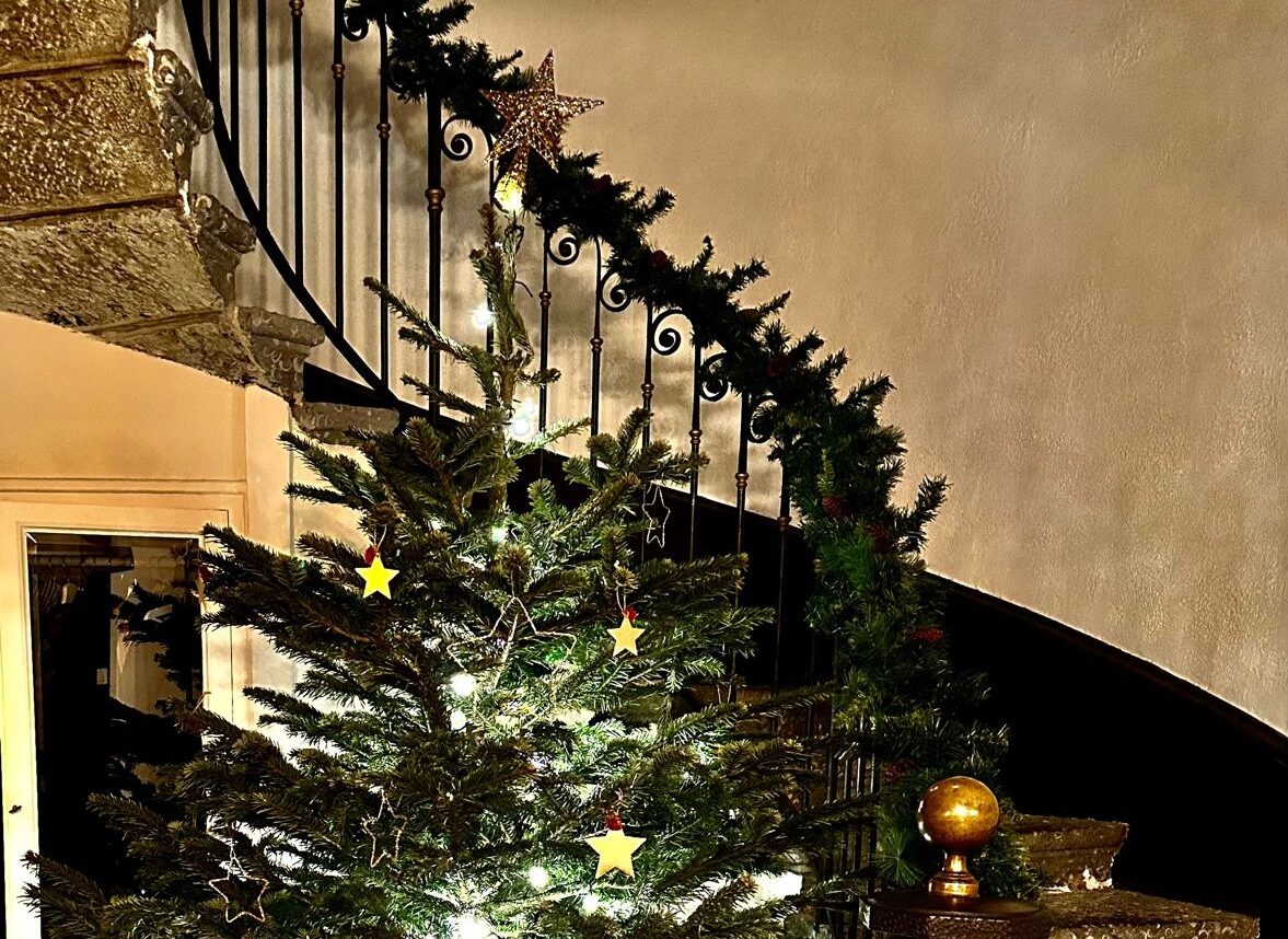 GEREJE Corporate Finance x Enfant Bleu – Christmas Tree